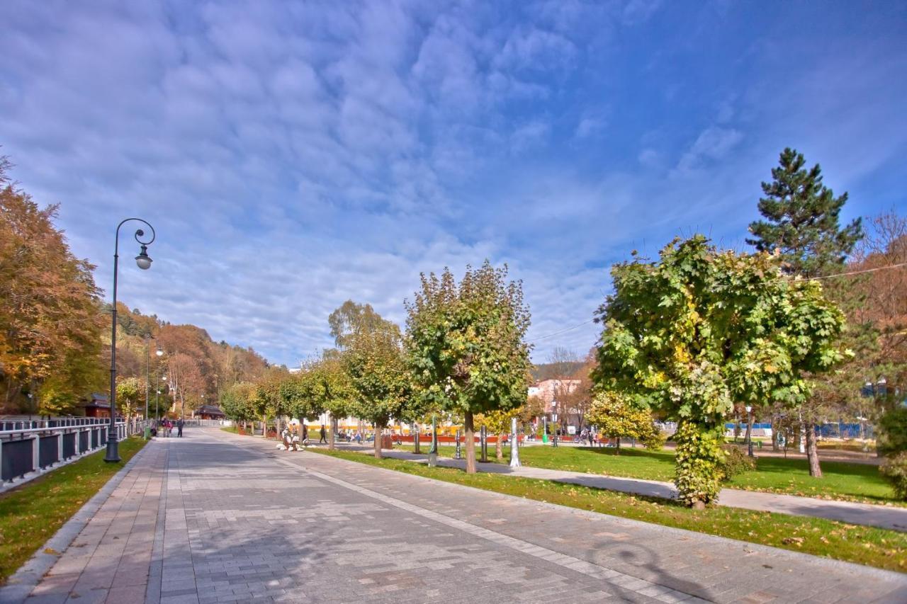 Kompleks wypoczynkowy Piastun Spa&wellness Krynica-zdroj