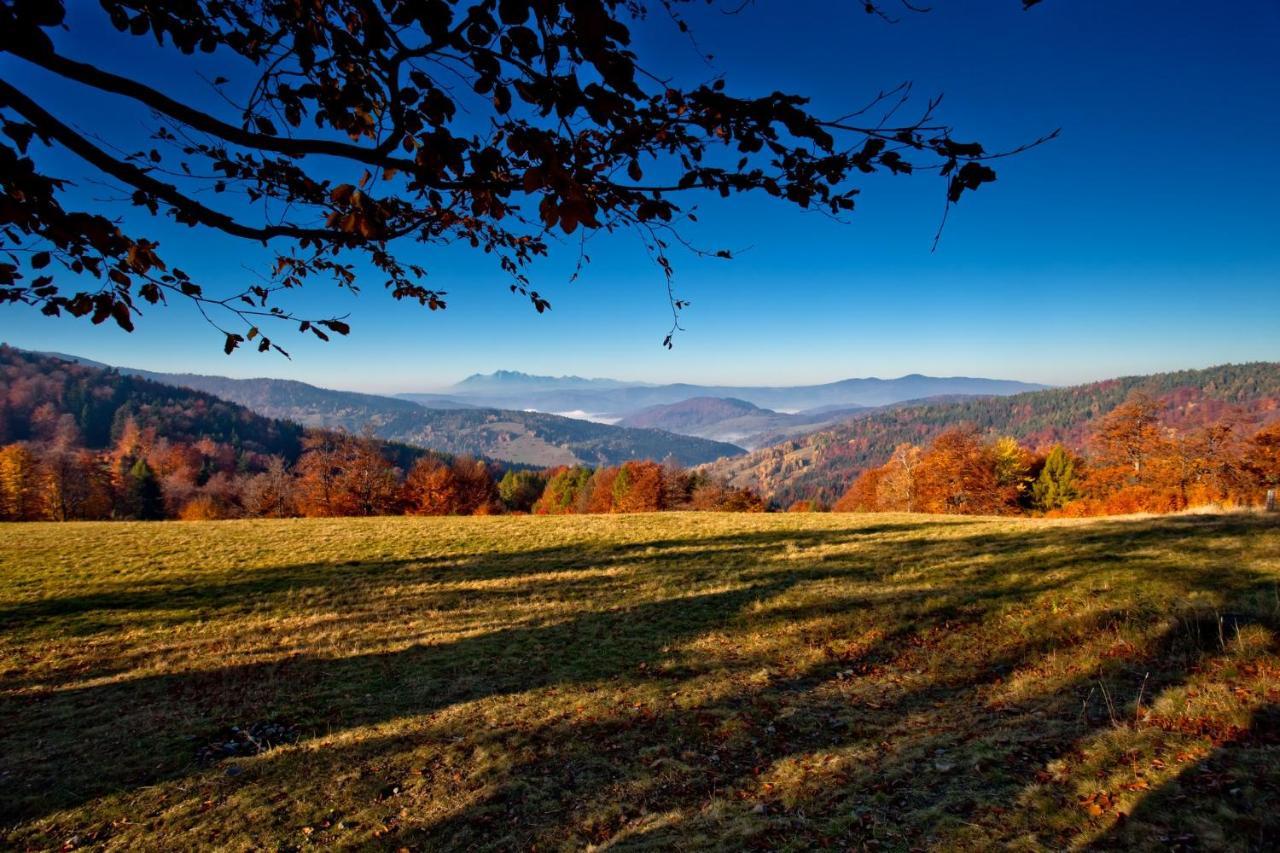 Kompleks wypoczynkowy Piastun Spa&wellness Krynica-zdroj *